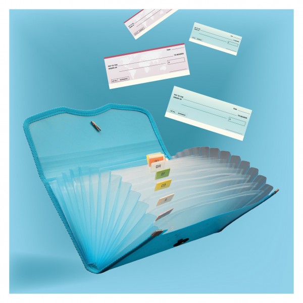 Expanding Cheque Case - Elastic - 12 section (EX701), Pack of 2